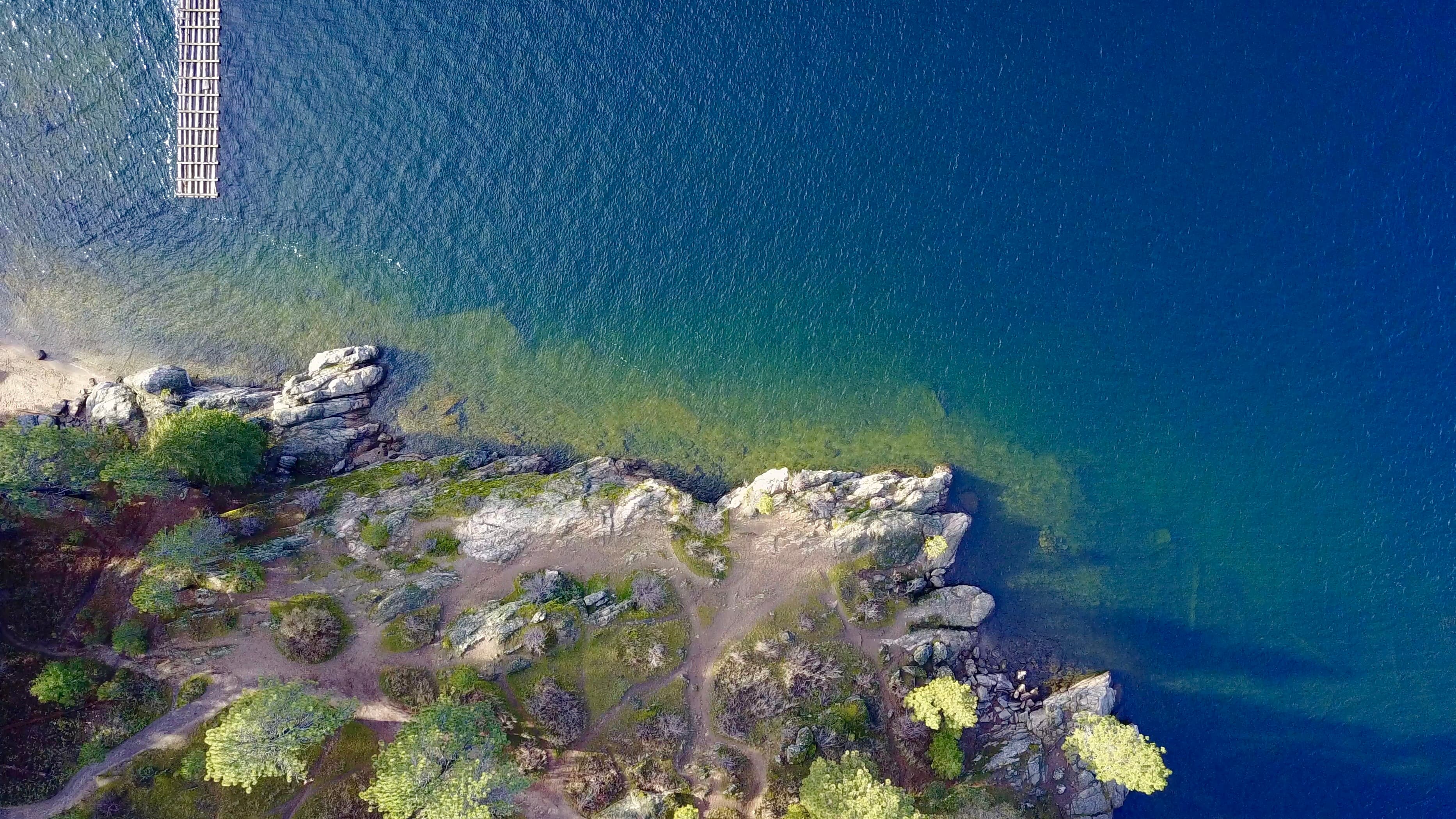 A wooded shoreline on Lake Coeur d’Alene