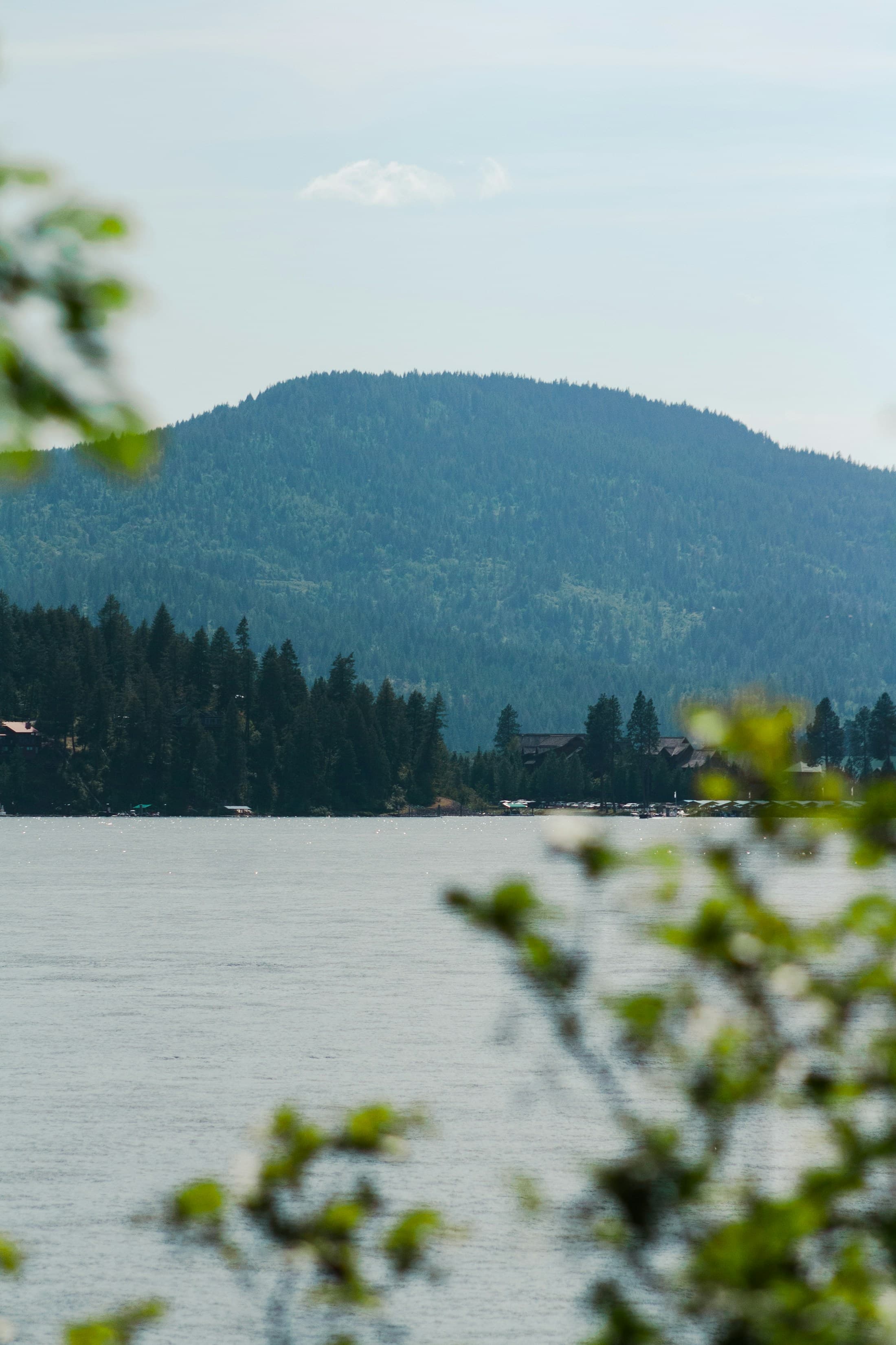 Pine-covered hills and shoreline at Lake Coeur d’Alene